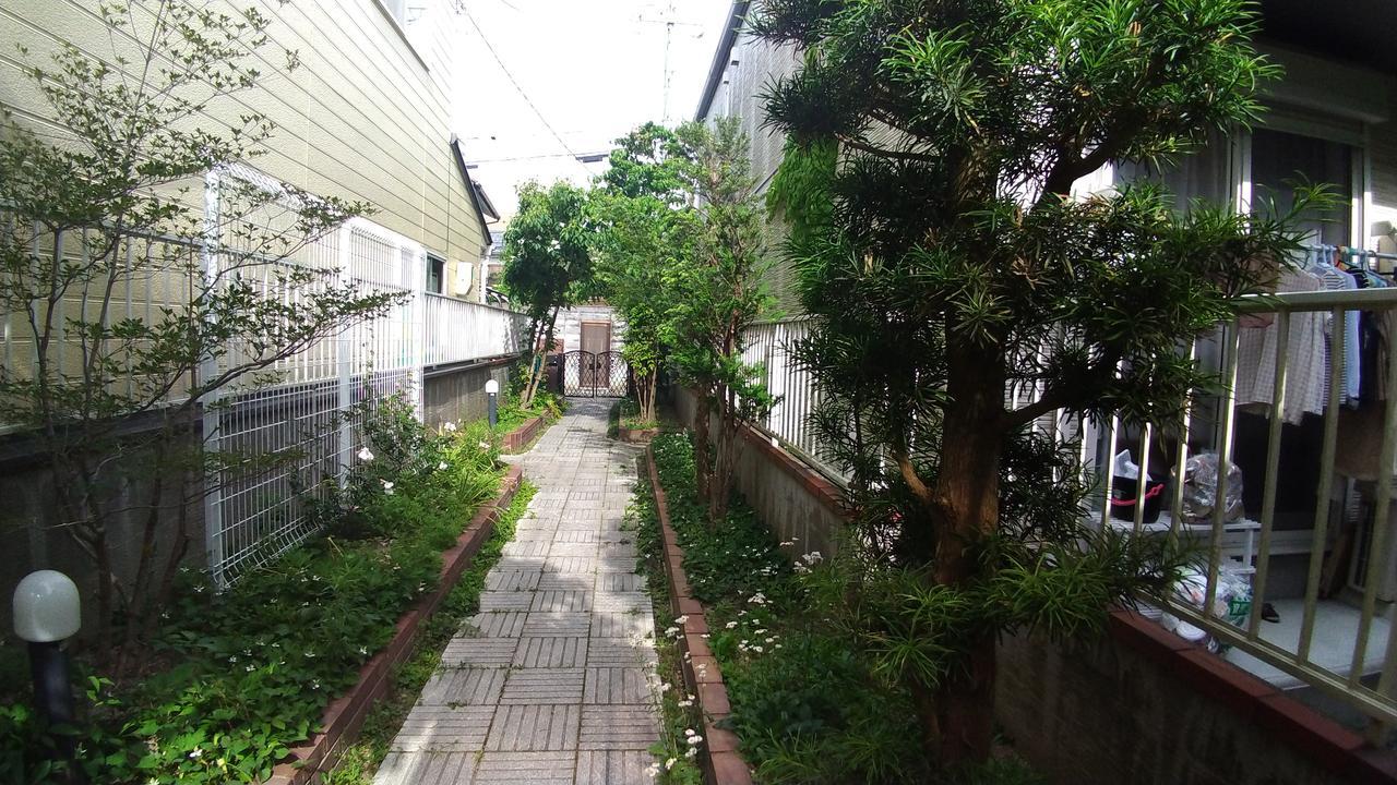 Kinkaku — Fotos 3
